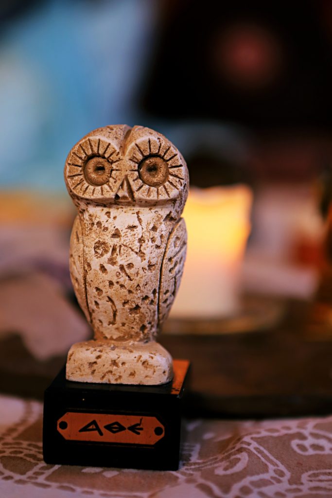 animal totem
